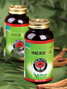 關(guān)于兩款全新食用菌沖飲粉產(chǎn)品上市的通知